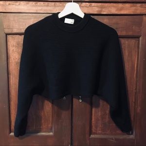 Wilfred Free Cropped Sweater